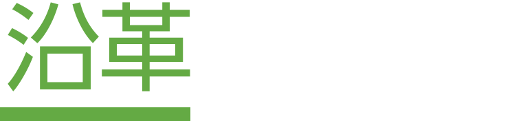沿革